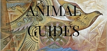 AnimalGuides